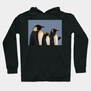 March of the Conducting Penguins Hoodie